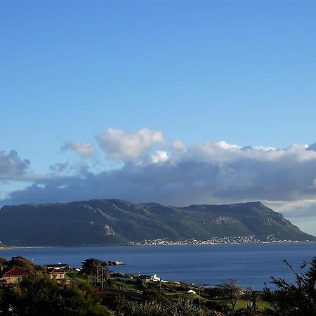 Restio Garden Studio Simonʼs Town Dış mekan fotoğraf