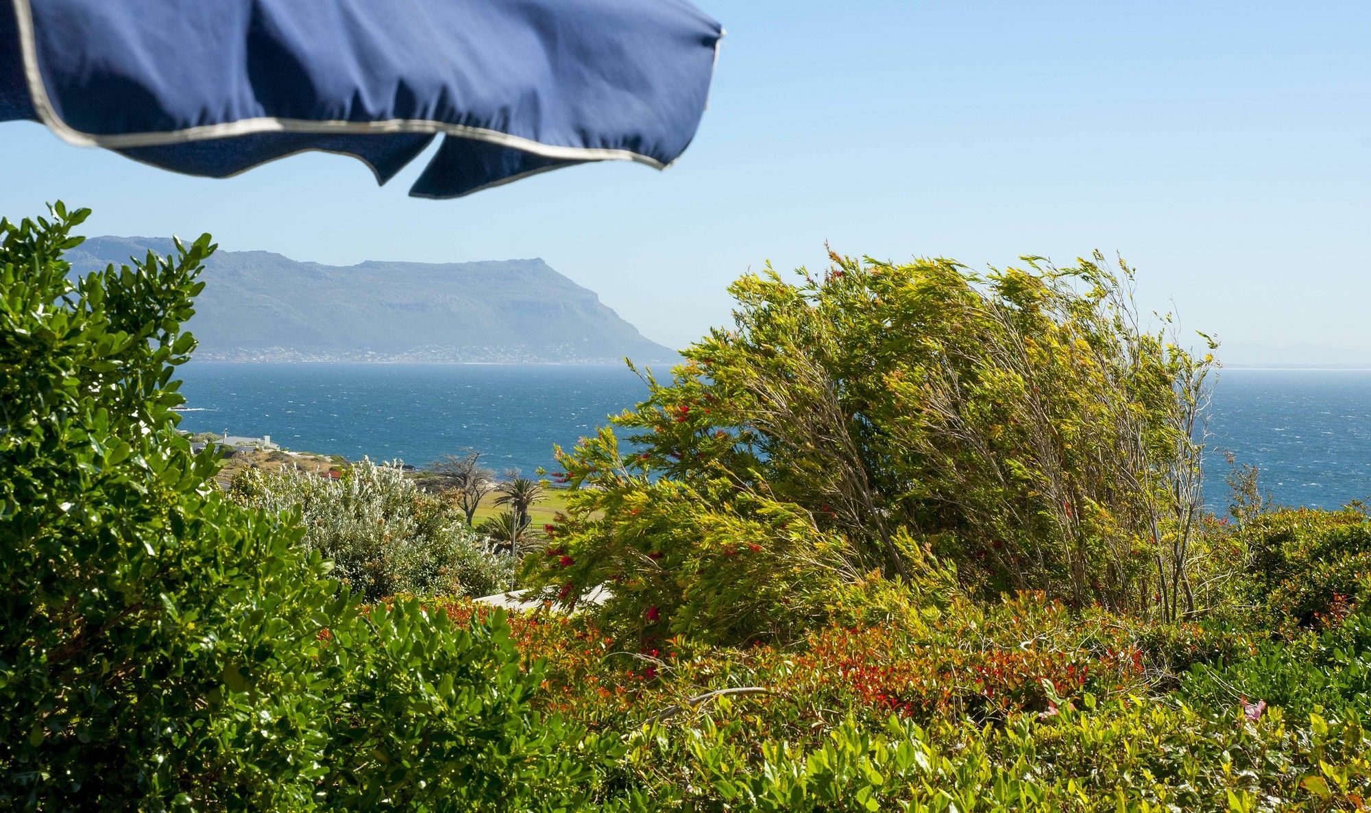 Restio Garden Studio Simonʼs Town Dış mekan fotoğraf